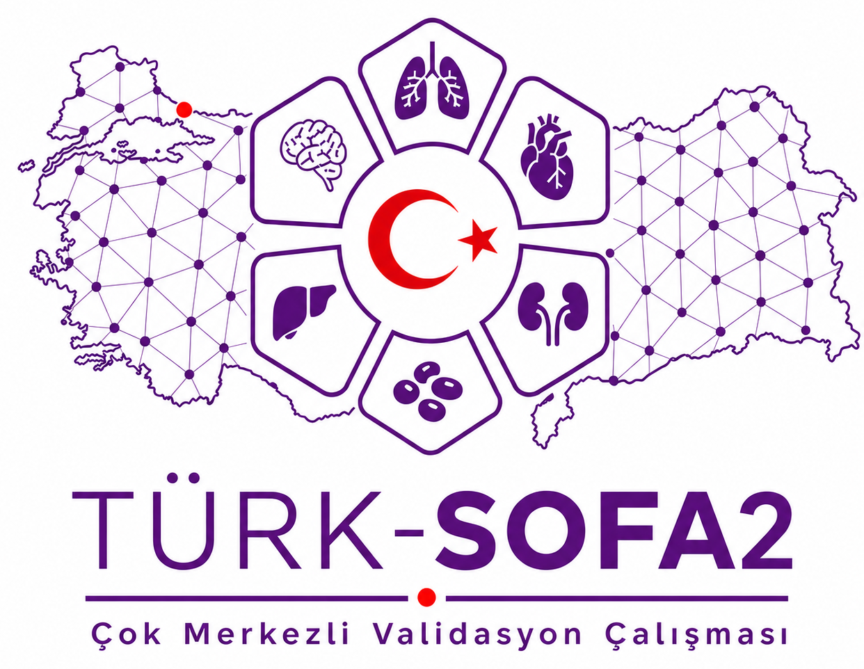 TÜRK-SOFA2